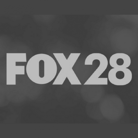 Nelson Lewis - Fox 28 Logo